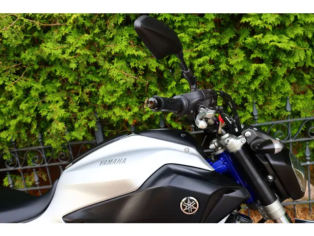 Yamaha MT 07 | MT 07 | MT-07 55KW 2015 Benzine 19