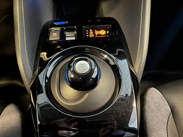 Nissan Leaf e+ TEKNA 62 kWh 2020 Elektrisch 19