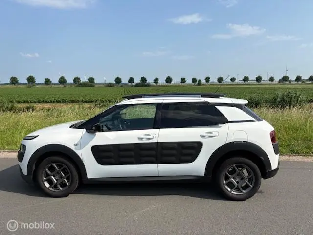 Citroën C4 Cactus 1.2 PureTech Business Plus 2016 Benzine 6