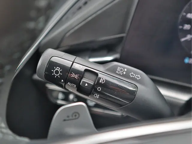 Kia Niro EV ExecutiveLine 64.8 kWh 2023 Elektrisch 12
