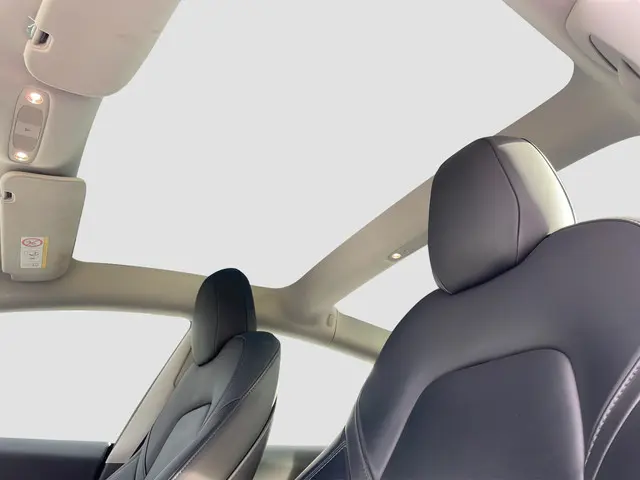 Tesla Model 3 Performance AWD 75 kWh 2022 Elektrisch 22