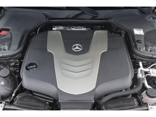 Mercedes-Benz E-Klasse 350 d Ambition 2016 Diesel 10