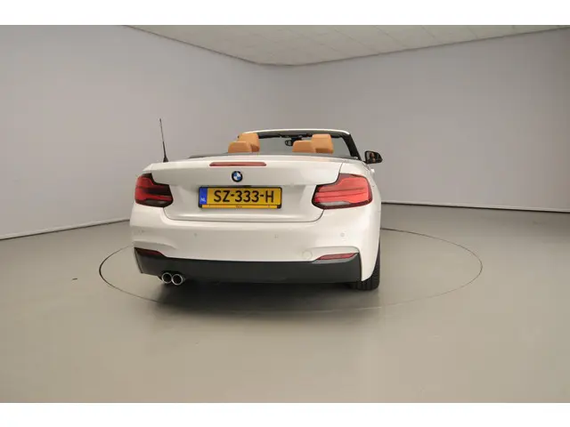 BMW 2 Serie Cabrio 220i 2018 Benzine 6