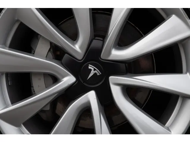 Tesla Model 3 Long Range AWD 75 kWh 2019 Elektrisch 45