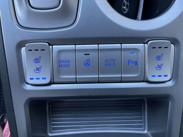 Hyundai Kona EV Premium 64 kWh 2019 Elektrisch 17