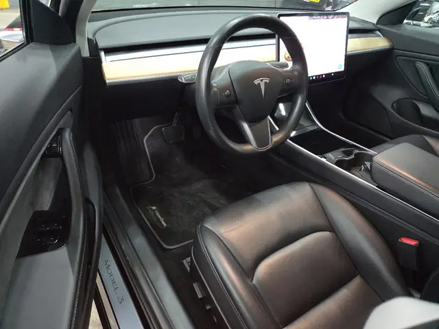 Tesla Model 3 Long Range AWD 75 kWh 2019 Elektrisch 7