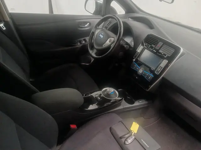 Nissan Leaf Acenta 30 kWh - Schade 2016 Elektrisch 10