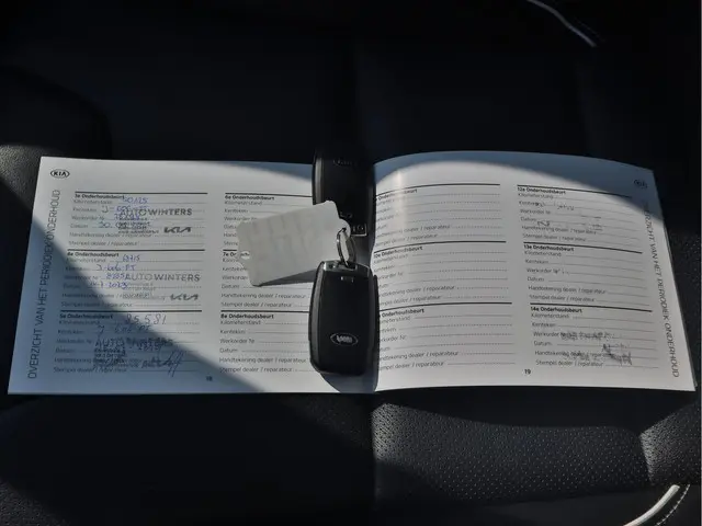 Kia e-Niro ExecutiveLine 64 kWh 2020 Elektrisch 24
