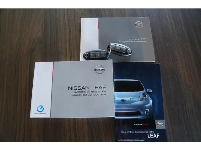 Nissan Leaf Acenta 24 kWh 2014 Elektrisch 16