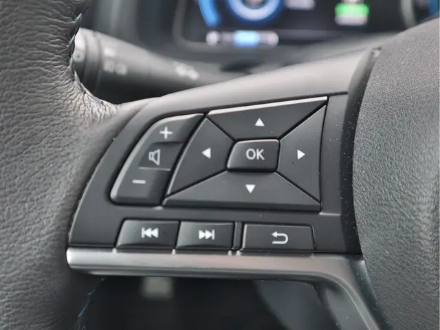 Nissan Leaf N-Connecta 39 kWh 2024 Elektrisch 12