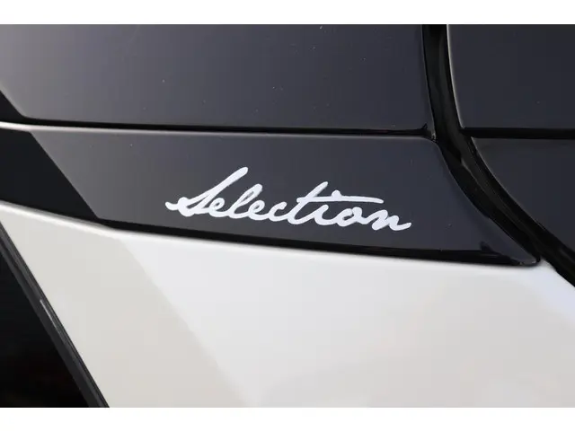 Toyota RAV4 2.5 Hybrid Bi-Tone, 2020 Hybride Benzine 12