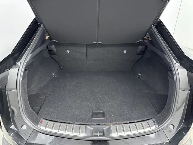 Lexus RZ 300e President Line 71 kWh 2024 Elektrisch 35