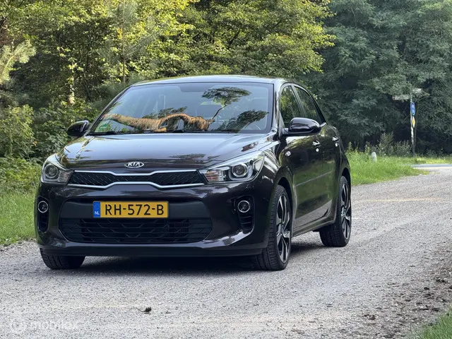 Kia Rio 1.0 TGDI -Cruise-Camera-CarPlay 2017 Benzine 17