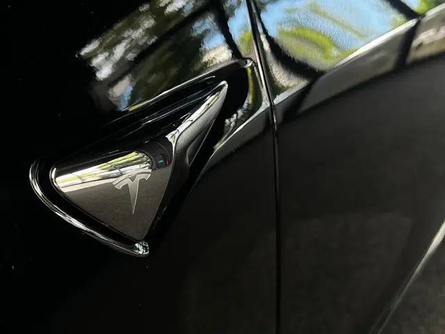 Tesla Model 3 Long Range AWD 75 kWh 2022 Elektrisch 12