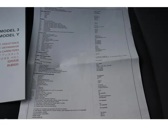 Tesla Model 3 Standard RWD Plus 60 kWh 2021 Elektrisch 51