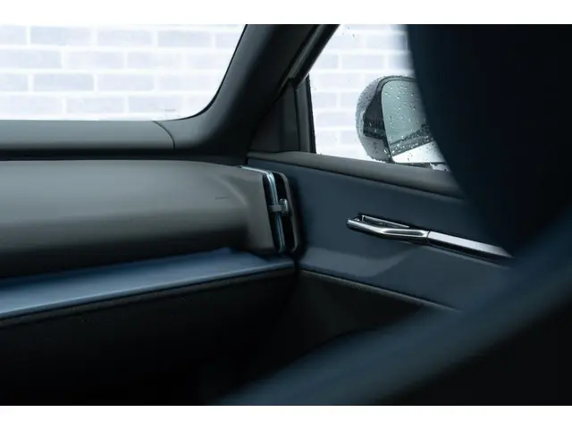 Volvo EX30 Extended Range Plus 69 kWh 2024 Elektrisch 11
