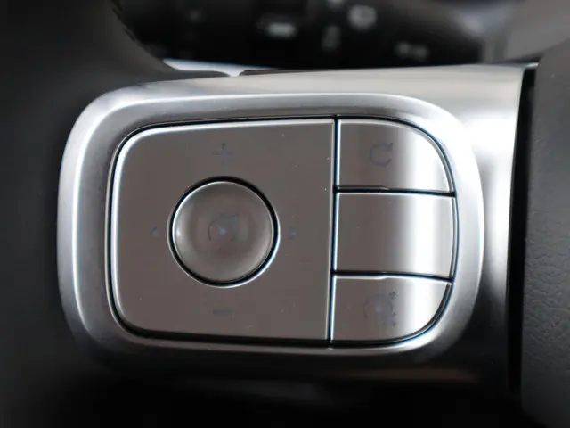 Smart #1 Pure+ 66 kWh 2025 Elektrisch 13