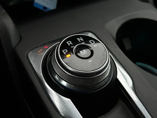 Ford Focus Wagon 1.0 EcoBoost ST Line 2019 Benzine 32