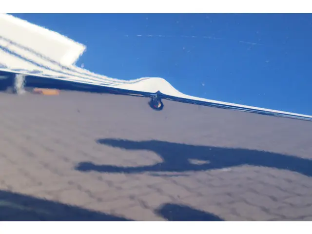 Tesla Model 3 Long Range AWD 75 kWh 2019 Elektrisch 15