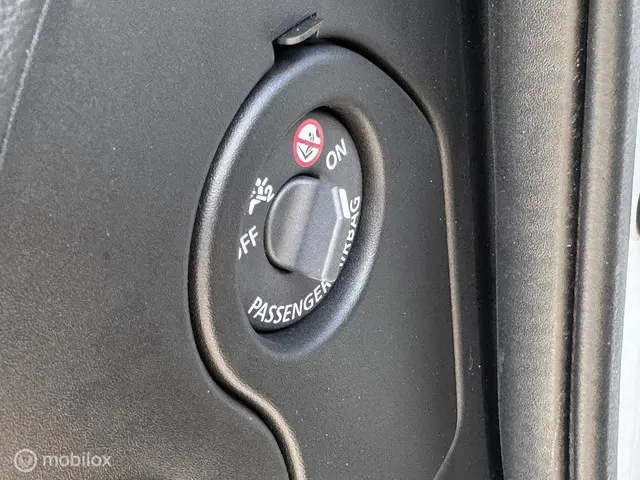 Renault Kadjar 1.3 TCe Intens automaat 2021 Benzine 25