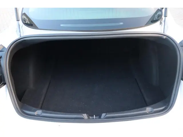 Tesla Model 3 Long Range AWD 75 kWh 2019 Elektrisch 38