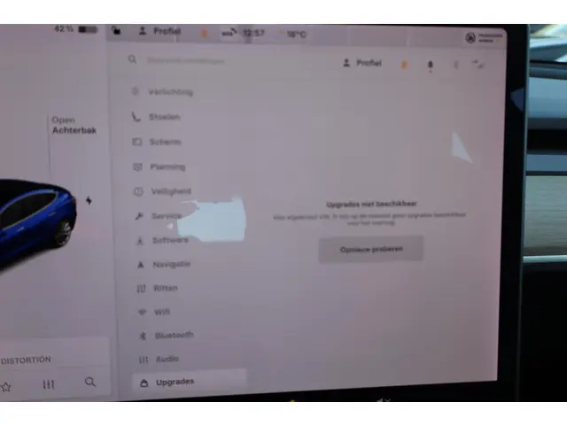 Tesla Model 3 Standard RWD Plus 60 kWh 2020 Elektrisch 49
