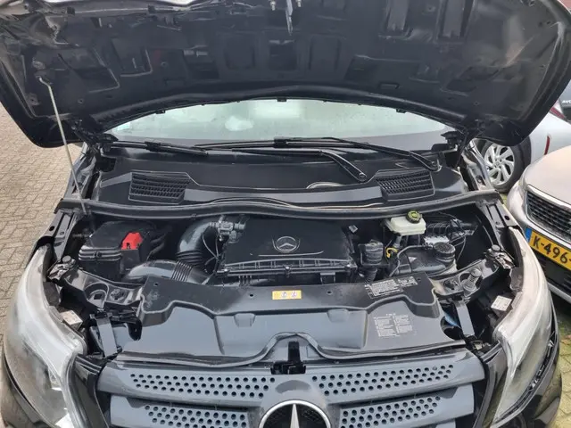 Mercedes-Benz Vito 114 CDI Lang DC 2018 Diesel 17