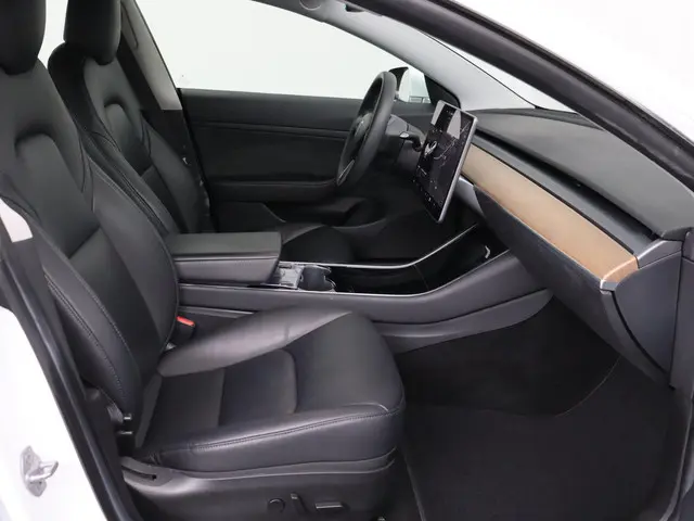 Tesla Model 3 Standard RWD Plus 60 kWh 2020 Elektrisch 25