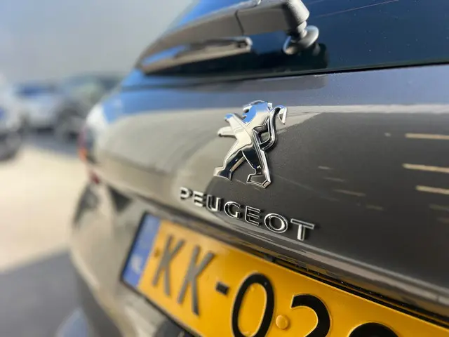 Peugeot 2008 1.2 PureTech Blue Lion 2016 Benzine 24