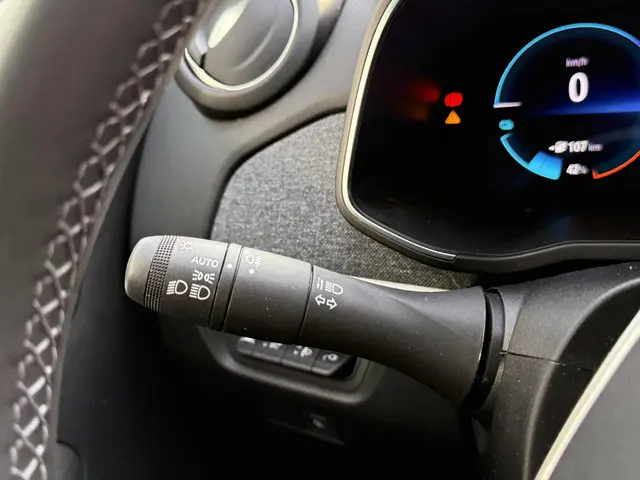 Renault ZOE R135 Limited 52 kWh 2021 Elektrisch 14