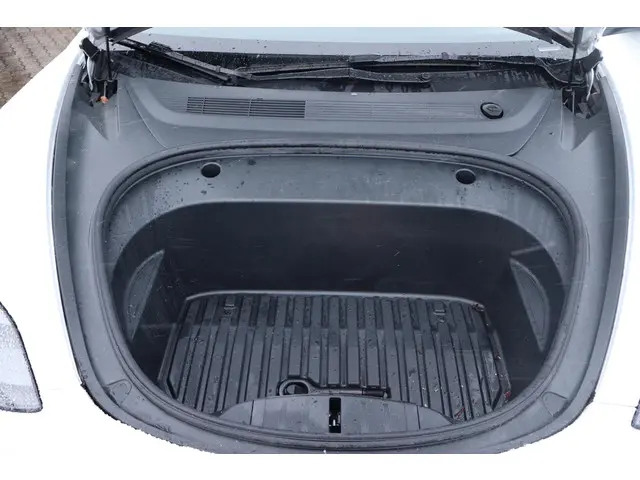 Tesla Model 3 Long Range AWD 75 kWh 2021 Elektrisch 24