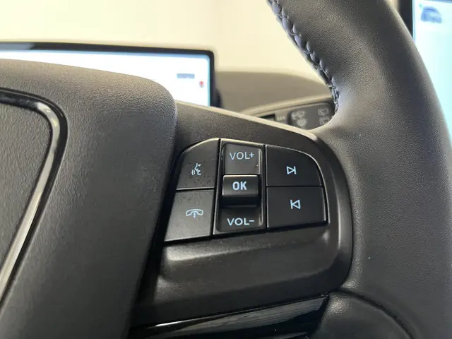 Ford Mustang Mach-E RWD 75 kWh 2021 Elektrisch 24