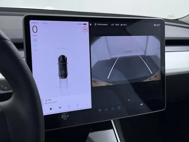Tesla Model 3 Performance AWD 75 kWh 2019 Elektrisch 37