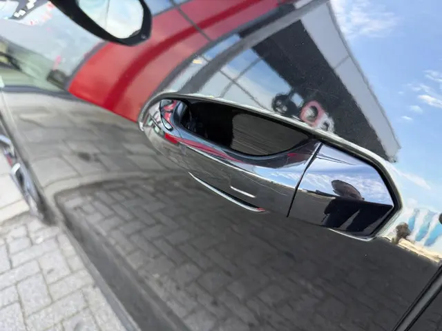 Audi RSQ8 4.0 TFSI RS Q8 quattro 2024 Benzine 10