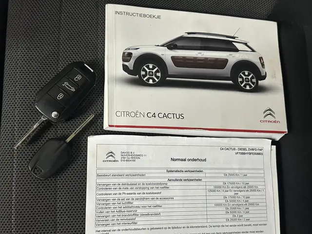 Citroën C4 Cactus 1.6 BlueHDi Business 2015 Diesel 17