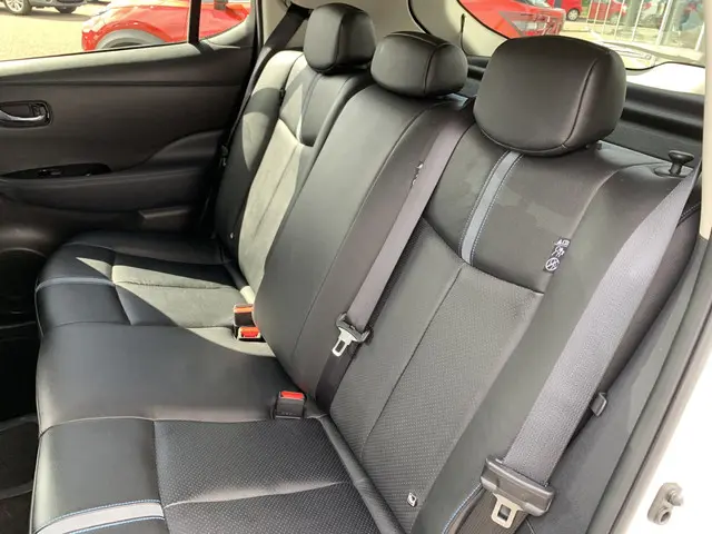 Nissan Leaf Tekna 40 kWh 2018 Elektrisch 15