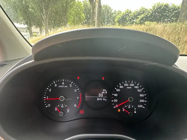 Kia Picanto 1.0 CVVT EconomyPlusLine 2019 Benzine 14