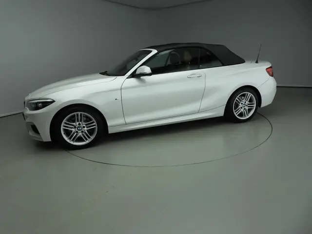 BMW 2 Serie Cabrio 220i 2018 Benzine 51