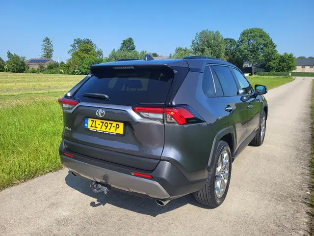 Toyota RAV4 2.0 VVT-iE Executive 2019 Benzine 18