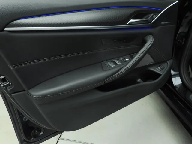 BMW 5 Serie Touring 540d xDrive 2020 Diesel 39