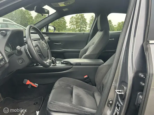 Lexus UX 300e Luxury 54 kWh 2020 Elektrisch 8