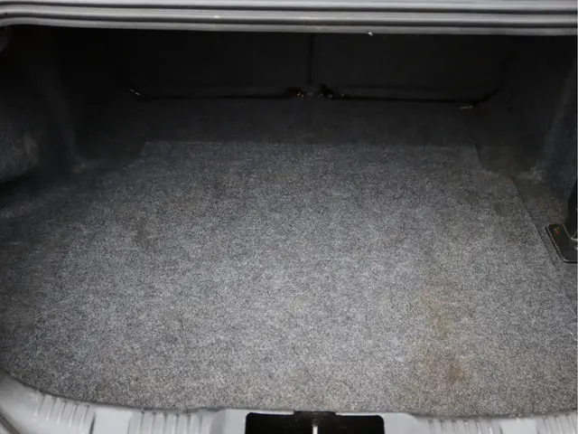 Ford Mustang Fastback 5.0 V8 GT 2018 Benzine 81