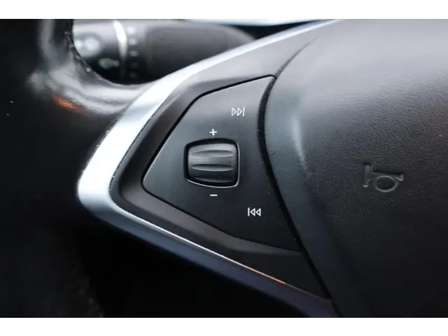 Tesla Model S 100D 2017 Elektrisch 24