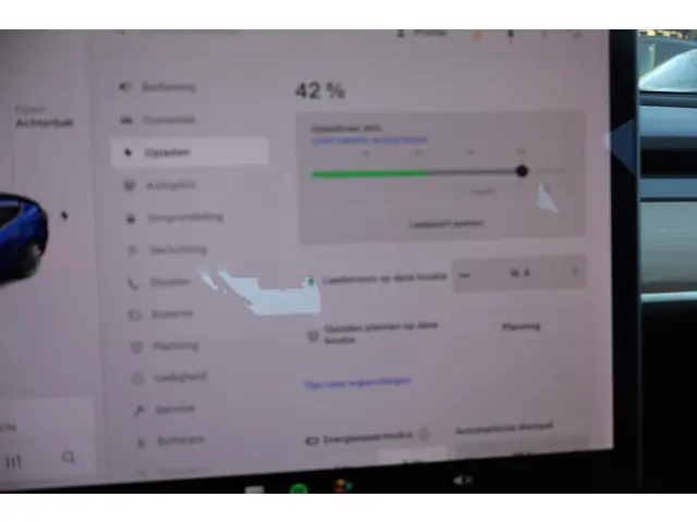 Tesla Model 3 Standard RWD Plus 60 kWh 2020 Elektrisch 32