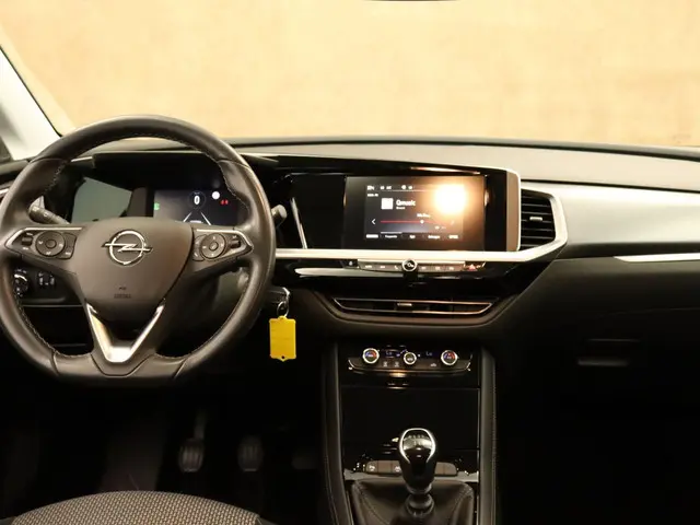 Opel Grandland 1.2 Turbo Business Edition 2022 Benzine 4