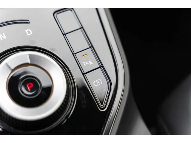 Kia Niro EV DynamicLine 64.8 kWh 2023 Elektrisch 39