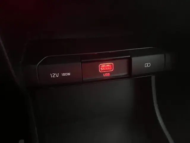 Kia e-Niro DynamicLine 64 kWh 2020 Elektrisch 32