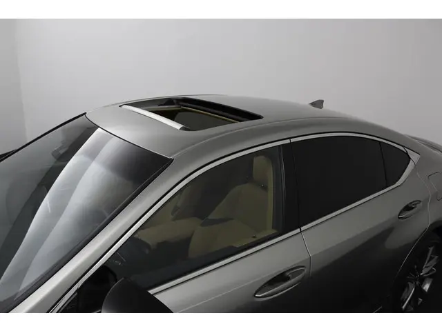 Lexus ES 300h Business Line 2024 Hybride Benzine 53