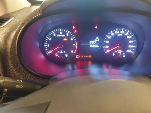 Kia Picanto 1.0 CVVT EconomyPlusLine 2017 Benzine 9