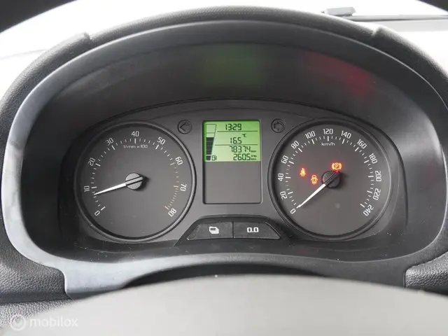 Škoda Fabia Combi 1.2 TSI Arctic 2013 Benzine 10